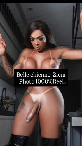 21 cm belle chienne hatana - Escort Saint Etienne